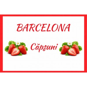 Gelato artizanal - Căpșuni