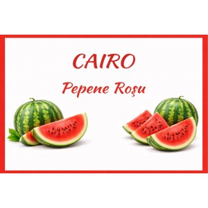 Gelato artizanal - Pepene roșu 